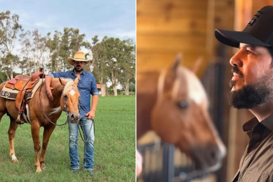 Sorocaba investe pesado e traz cavalo de linhagem nobre dos